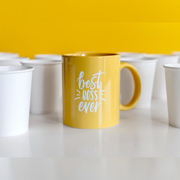 Custom Printed Mugs/ Plate